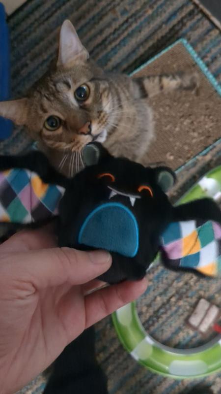 Noah eager to check out his new bat toy!