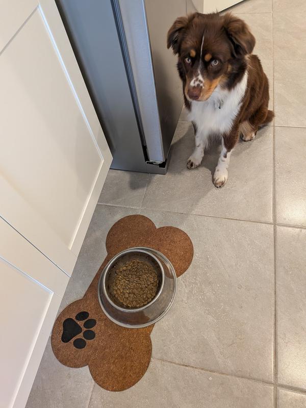 Journey waiting for the go ahead command to eat