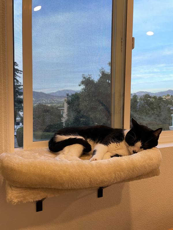 FRISCO Plush Cat Window Perch with Removable Bolster