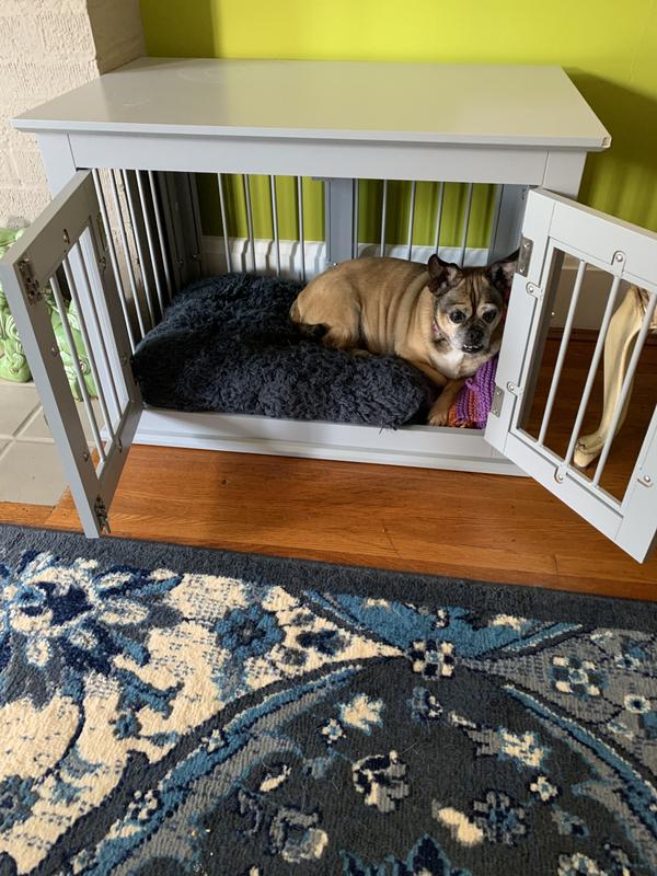 Crinkle in her crate