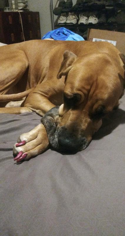 Pretty nails