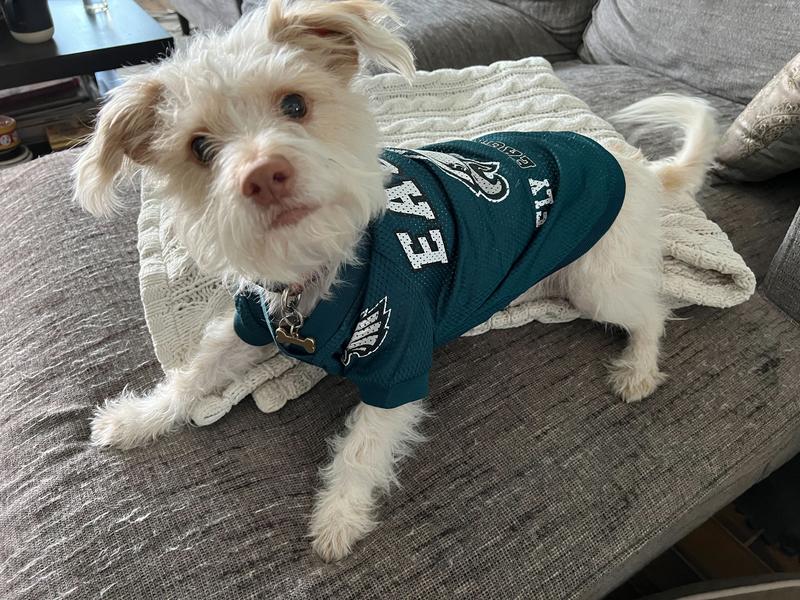 eagles pet jersey