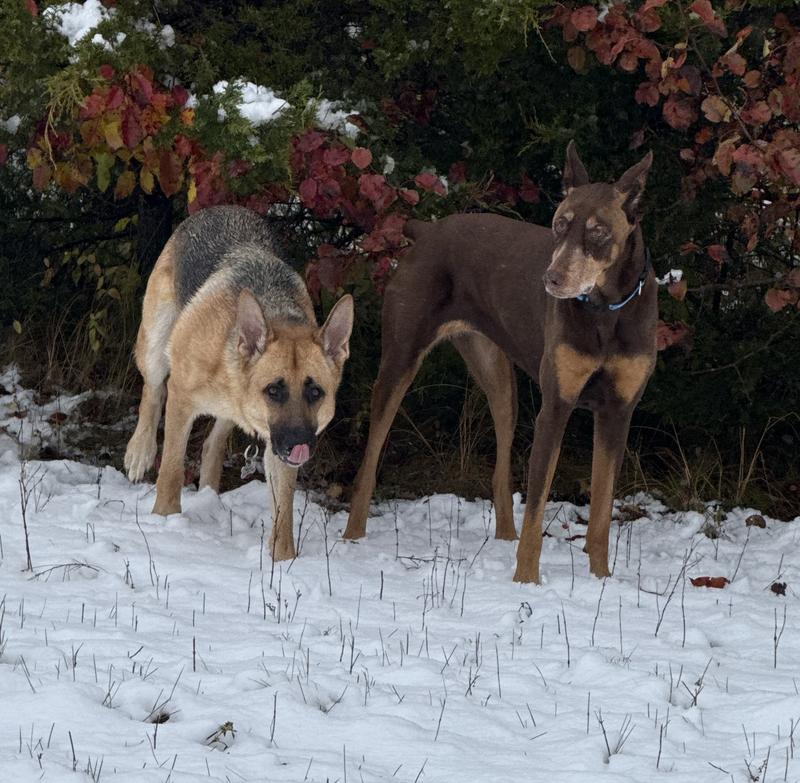 Excellent quality food