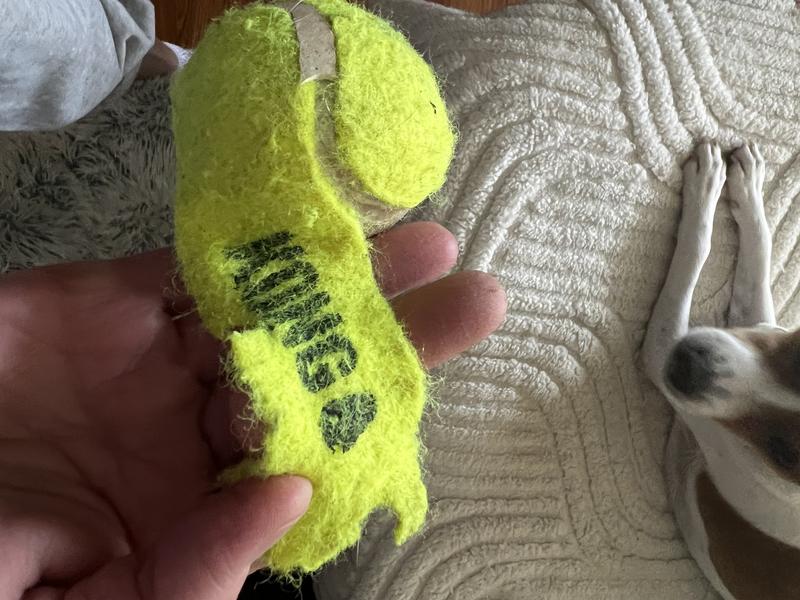 Fetch Toy Tennis Ball is designed to maximise fun during playtime with