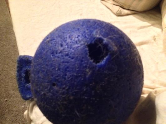 Freya's Jolly ball with holes in it from her teeth. The ball had to be thrown out bacause her teeth kept getting stuck in the ball.