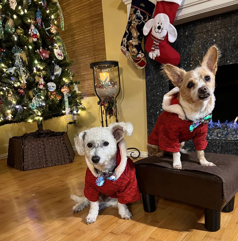 Perfect Christmas outfits!