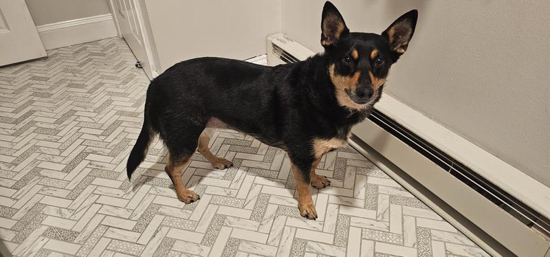 How's she's going (6lbs lighter)