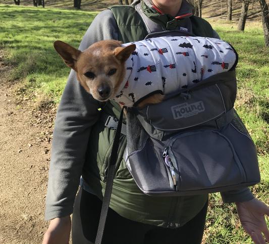 Outward Hound PoochPouch Dog Front Carrier, Medium, Blue–