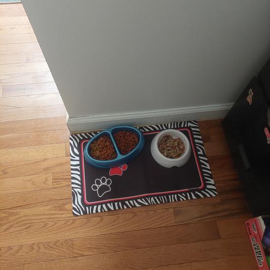 Adorable little feeding dish