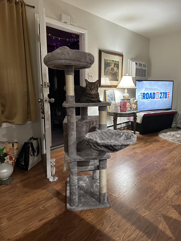 Large cat loves this tower!!!
