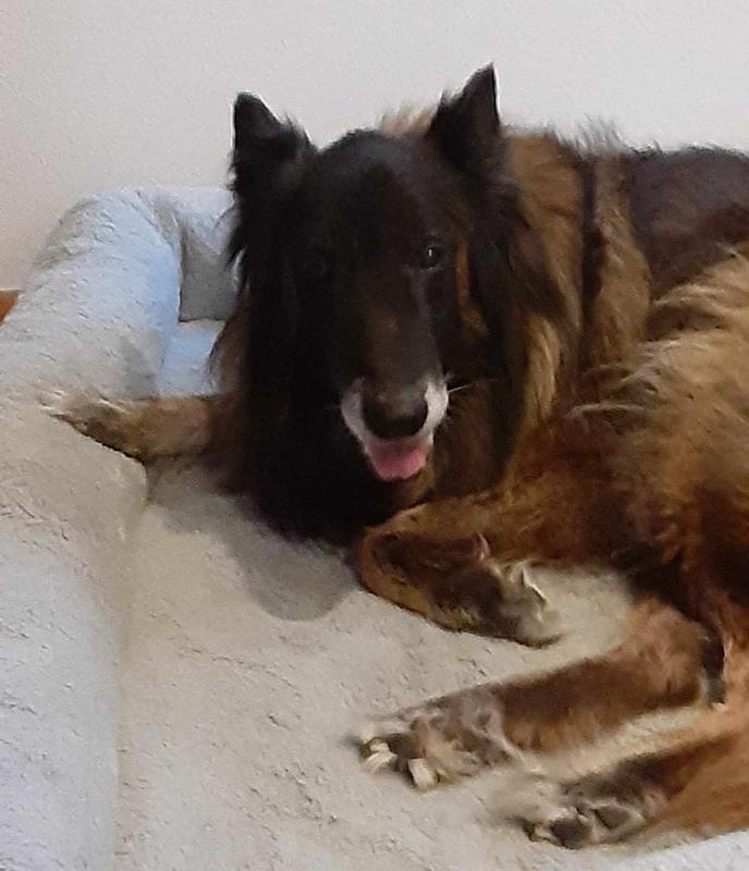 Happy boy