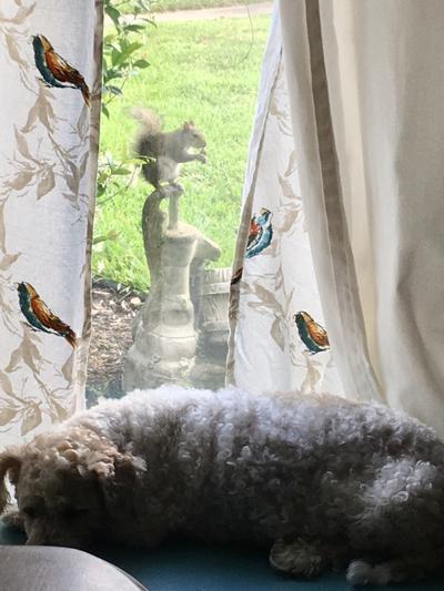 Baby and Mr. Squirrel