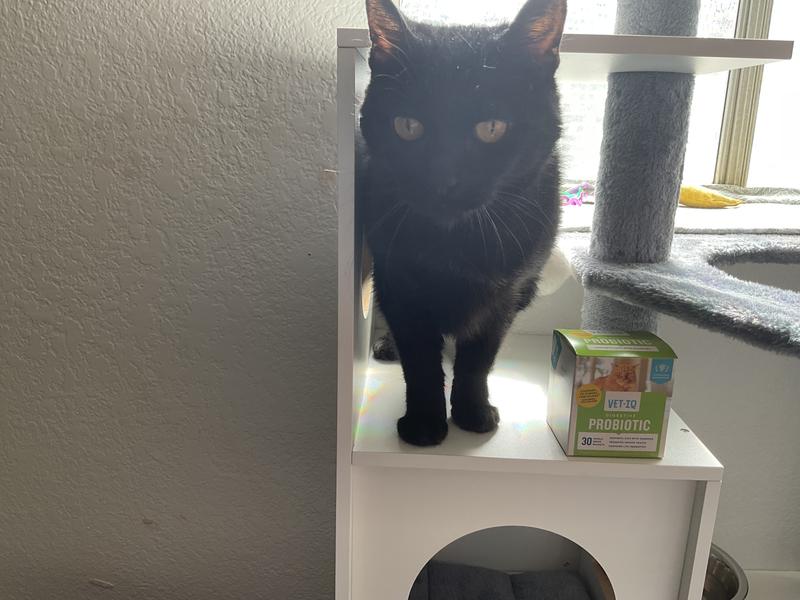 8 yr old female who can only click ,who we named Clickity clack