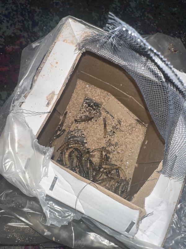 DEAD LOOK AT Them!!!!!