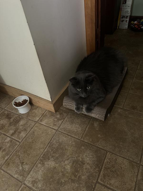 Loved by Smokey