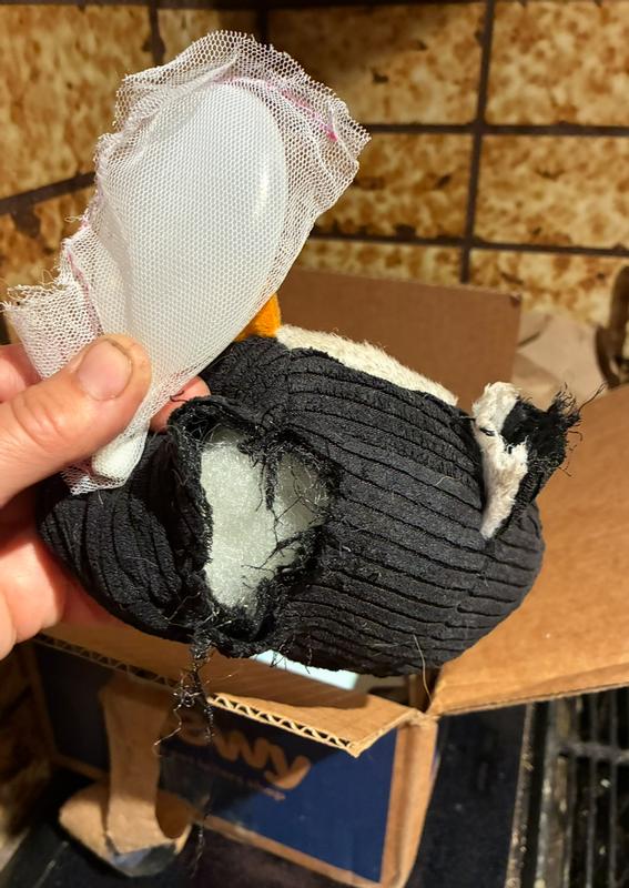 I hadn’t even broken down the box it came in