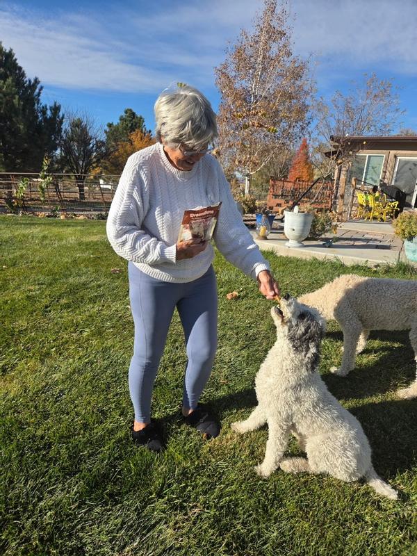 Giving my dogs DreamBone CollaYums!