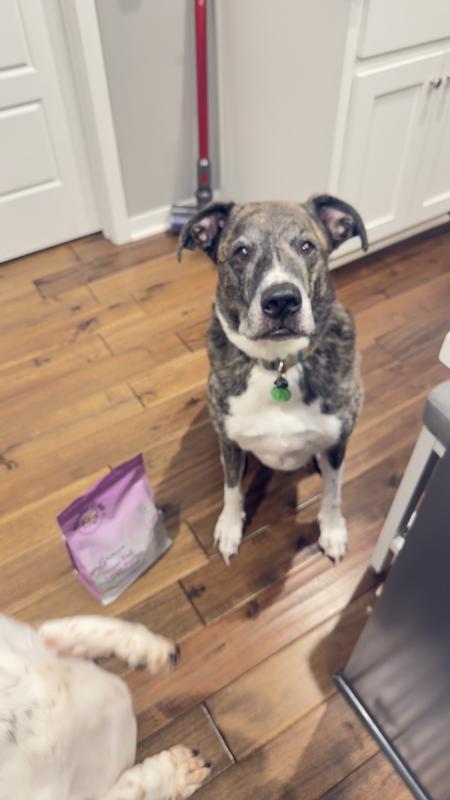 Hank approves of this addition to his diet!