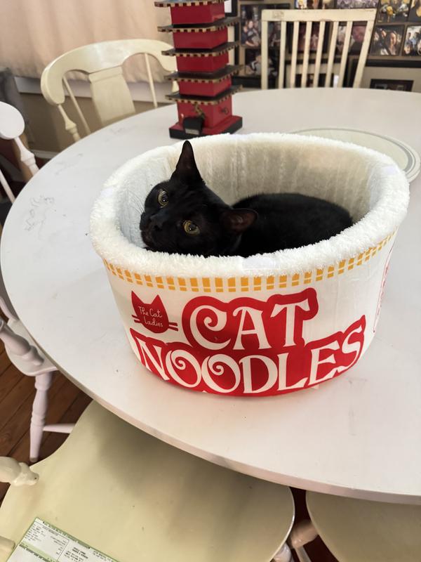 woody in his "cat noodle" bed