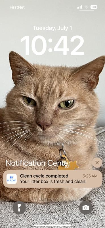 Notification example