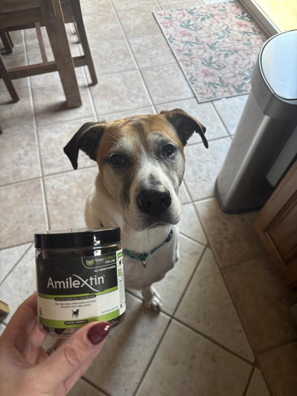 Sitting nice for a “treat!”