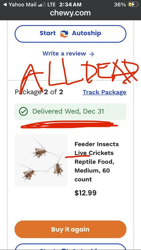 Arrived on 31st dead