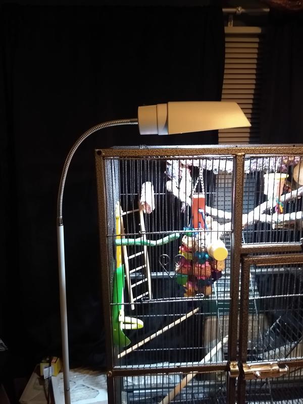 Too close, not adjustable...still a nice lamp stand.