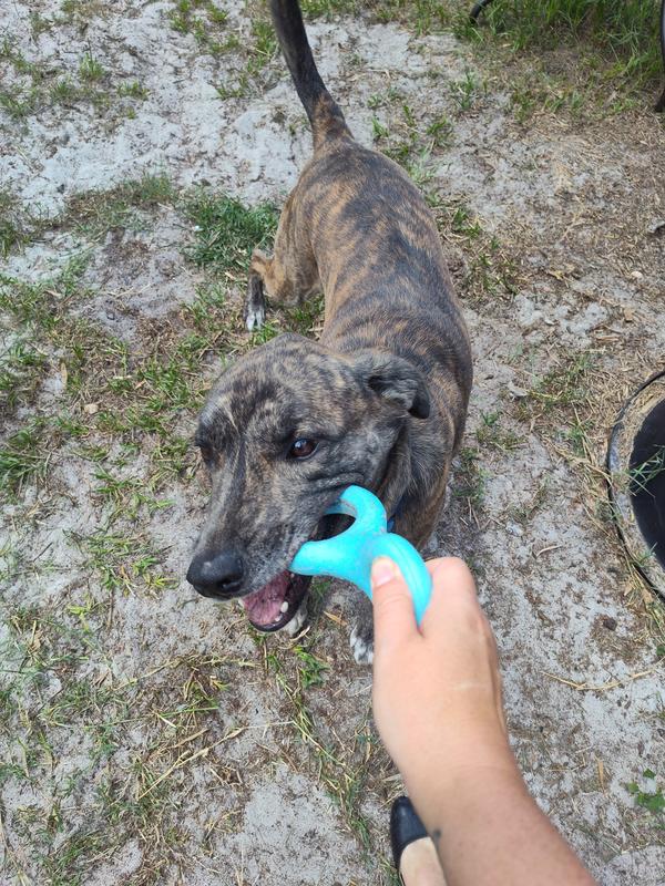 A little difficult to hold on to