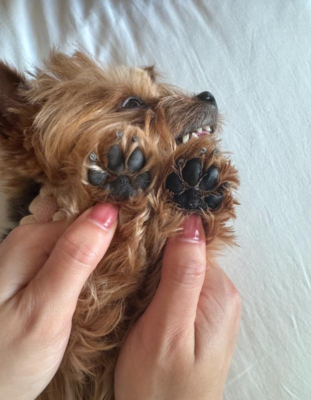 before on left/after on right