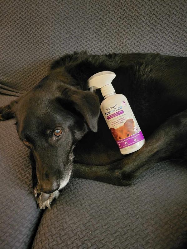 Clean, tired old dog LOL. He was not scared of the bottle though!