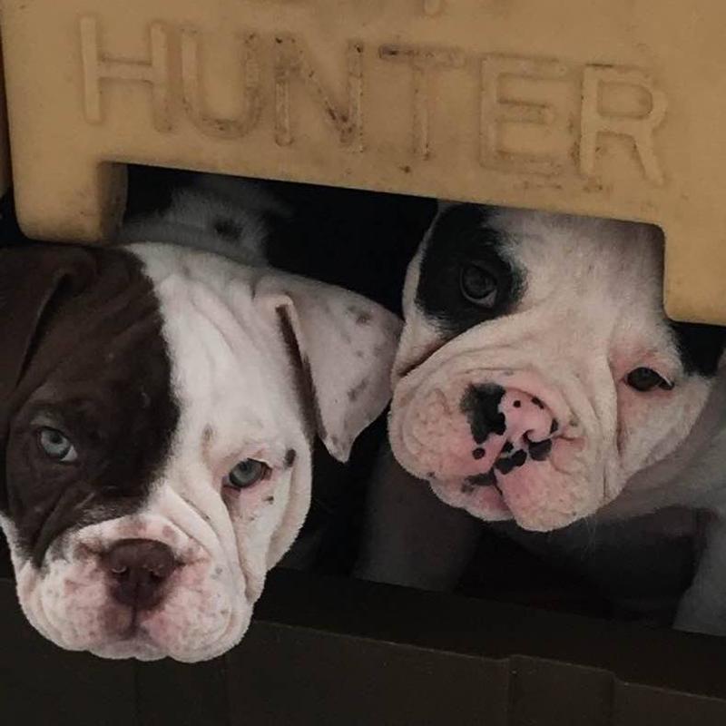 jACKPOT AND jOKER 10 YRS AGO