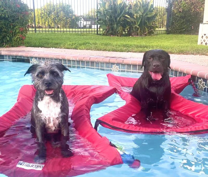 Enjoying the floats!