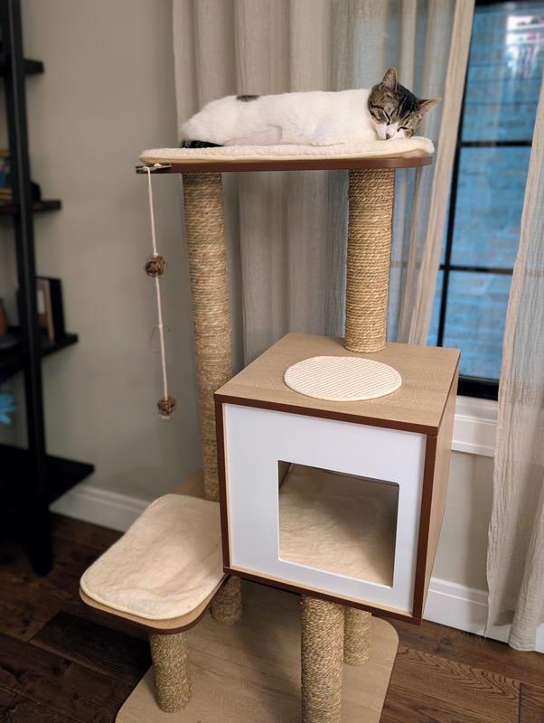 Kitty napping on the Vesper cat tower.