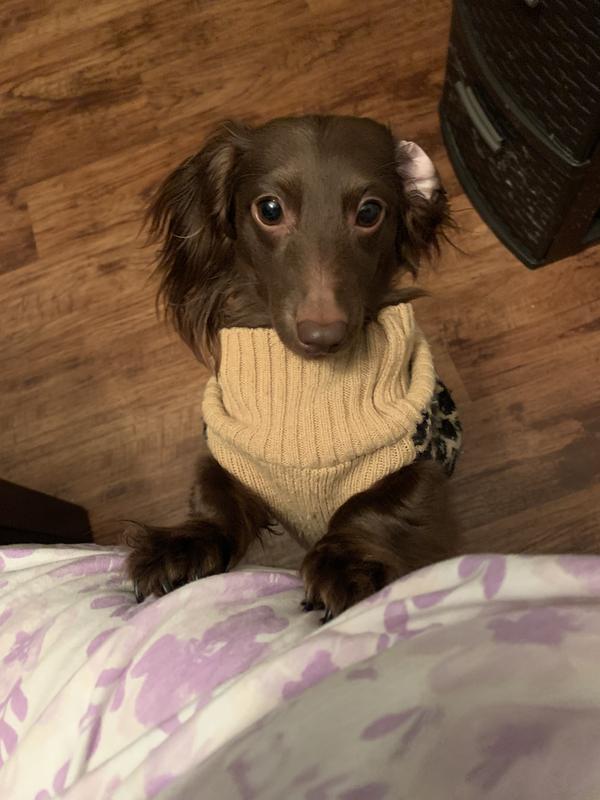 She is such a lover!