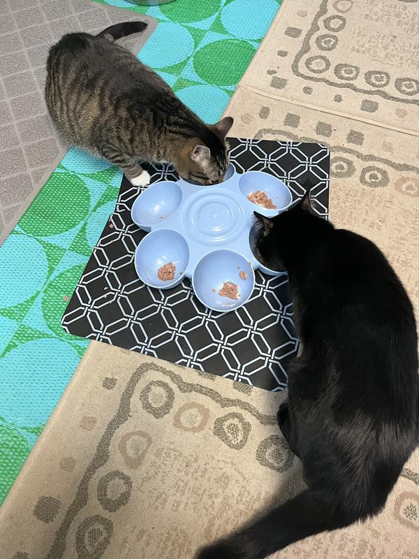 They all enjoyed their meal last night.