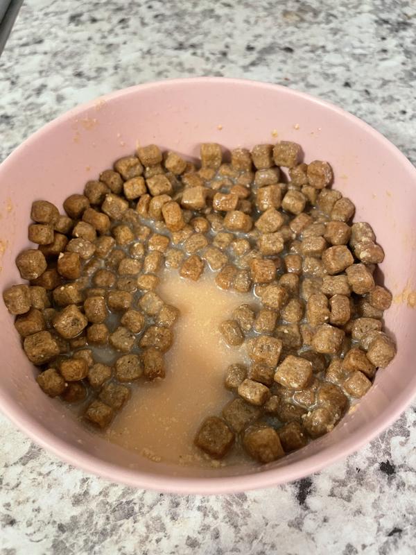 This is the prepared milk added to kibble.