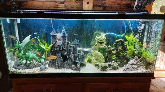 Koval store aquarium light