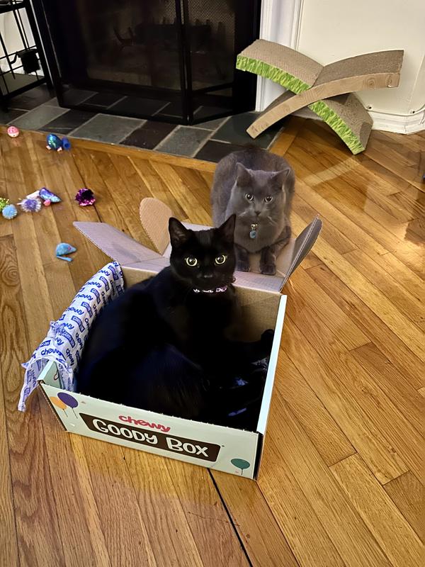 Xena gets to get itOut first!