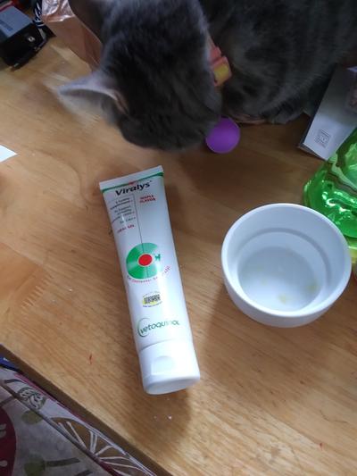 Viralys gel for clearance cats