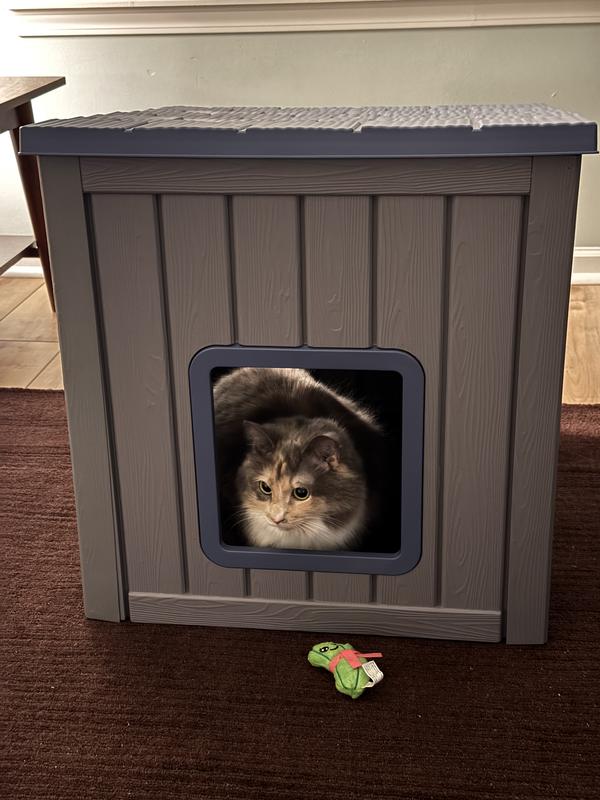 Loafing at main entrance