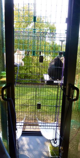 Early morning bird watching