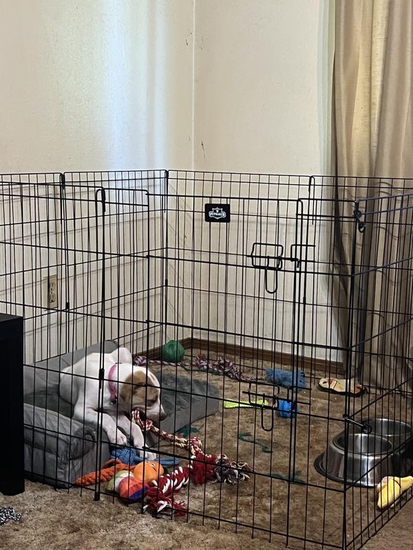 She just love her play pen she has fun with all her toys