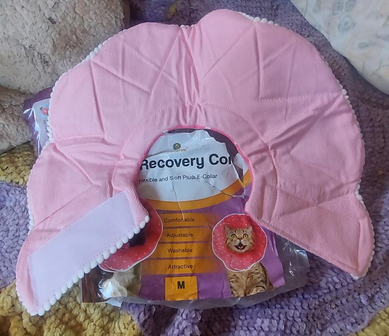 SUNGROW PostSurgery Soft Cone Dog & Cat Recovery Collar, Pink, Medium