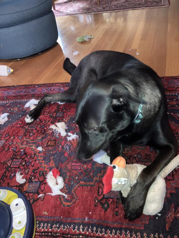 Chicken wings 2 for 1 deal