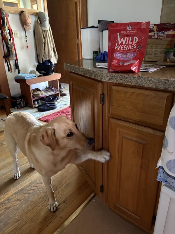 Loves her treats now