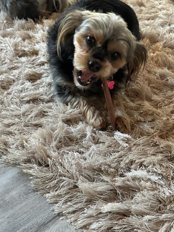 Could you get that camera out of my face, I’m a little busy right now!