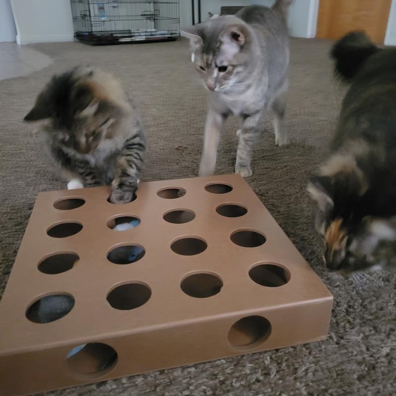 Catnip shop box reviews