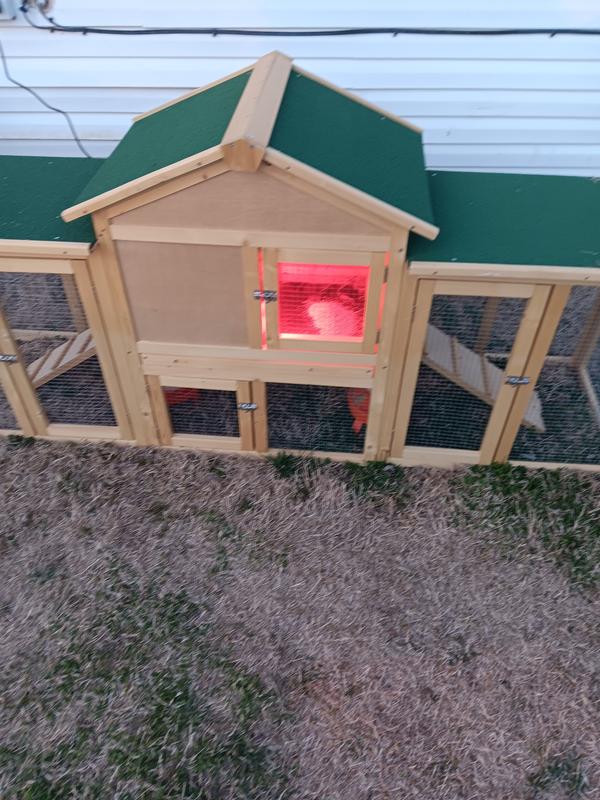 Good for the money, good for people starting out with chickens