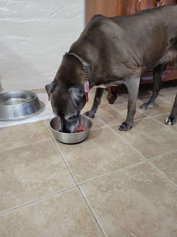 Cocoa enjoying the beef patty