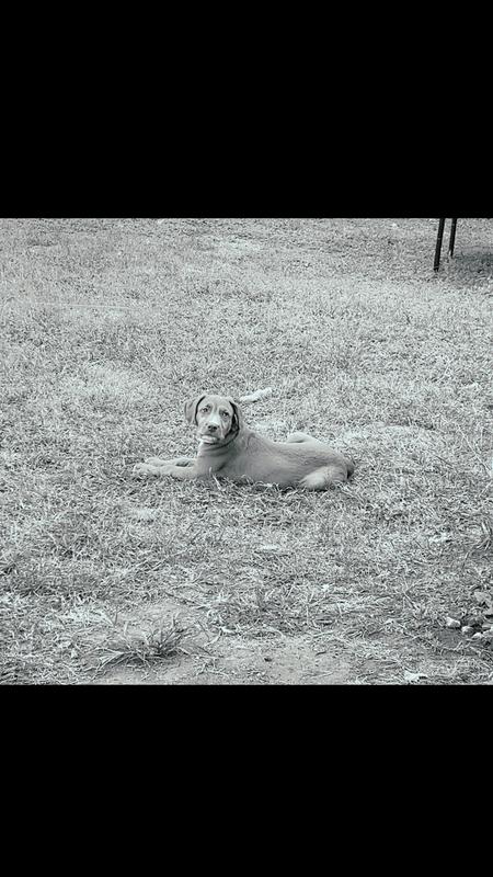 Healthy growing boy!